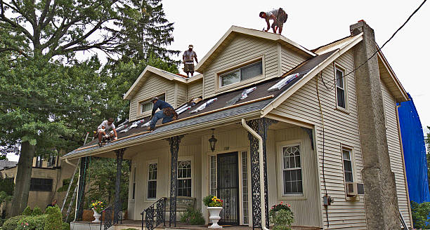 Best Storm Damage Roof Repair  in Cypress Quarters, FL